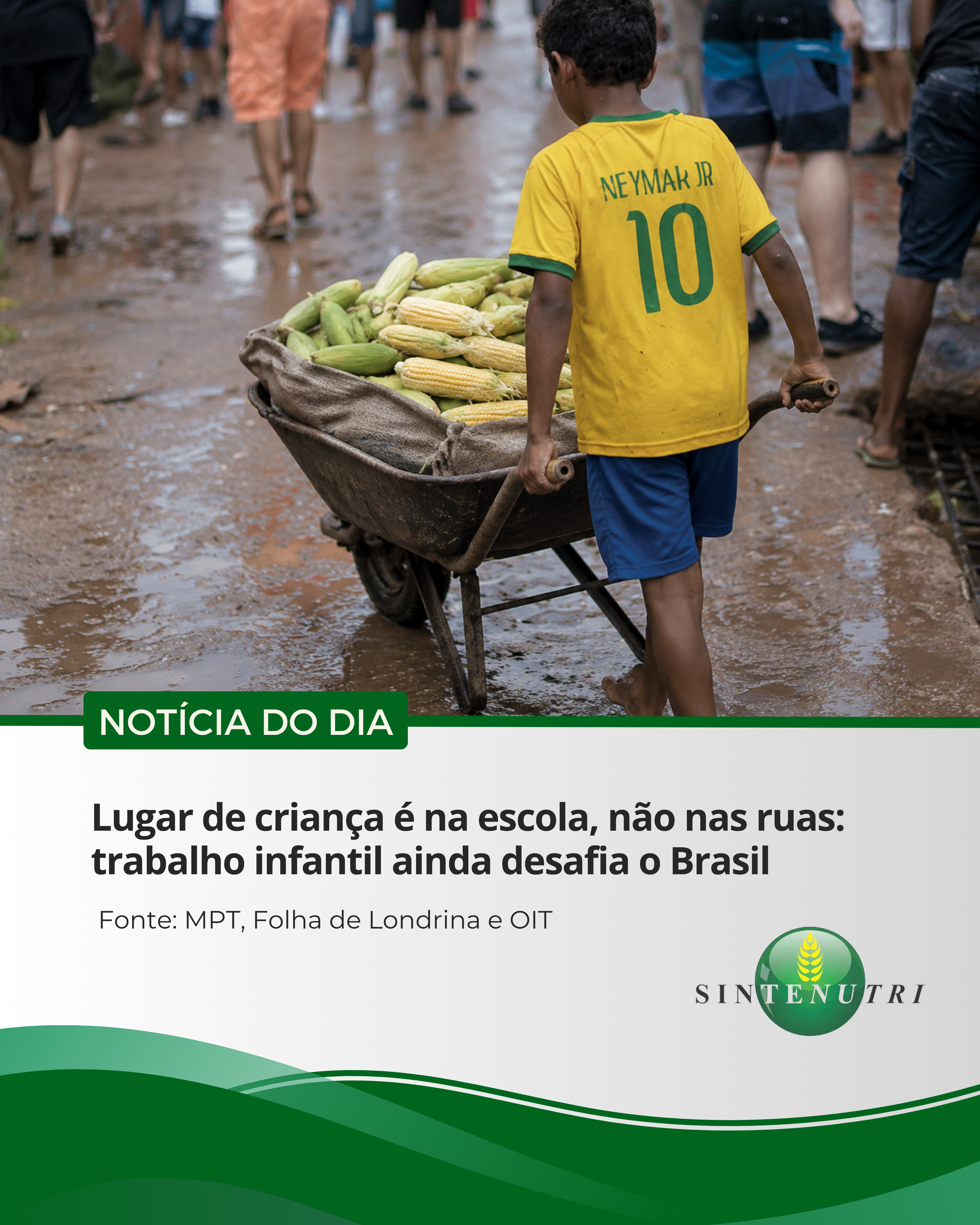 imagem de capa